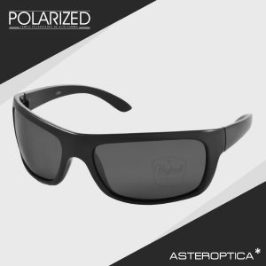 Polarized Asteroptica